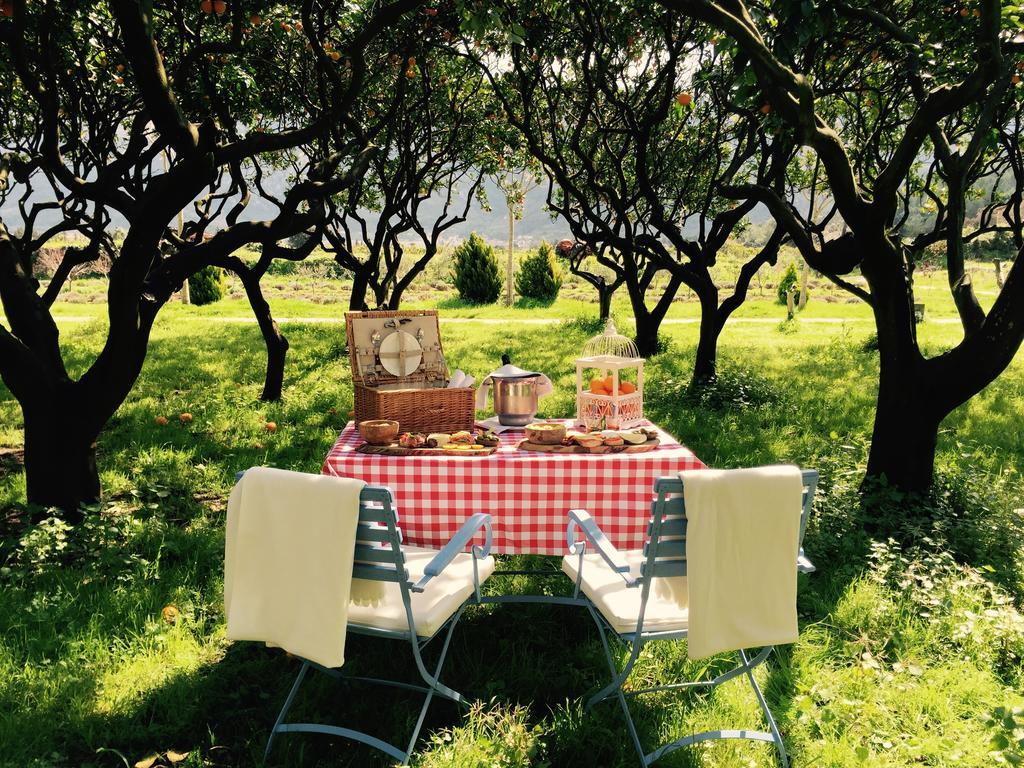 Hotel Finca Ca N'Ai - Adults Only Soller Exterior photo